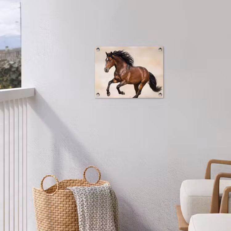 Tuinposter - Paard - Galop - Energie — 3