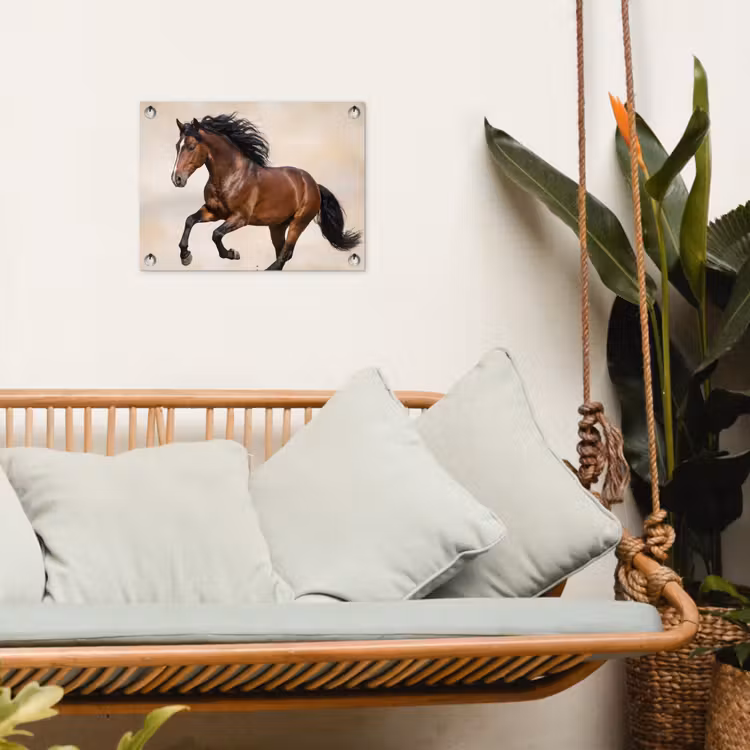 Tuinposter - Paard - Galop - Energie — 5