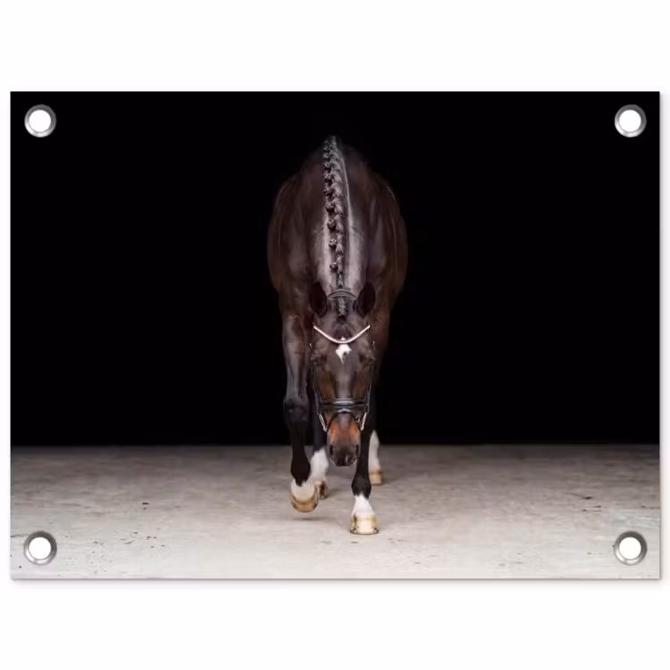 Tuinposter - Paard - Modern - Portret — 1