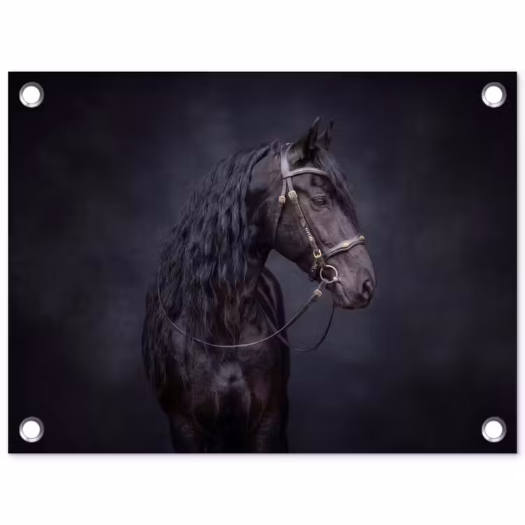 Tuinposter - Portret - Paard - Donker — 1