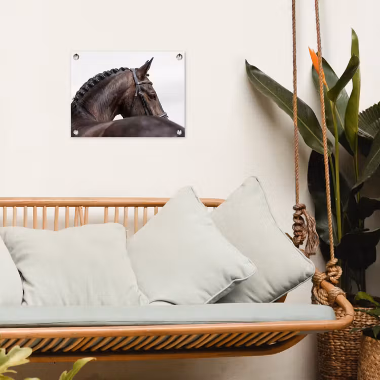 Tuinposter - Portret - Paard - Elegant — 5