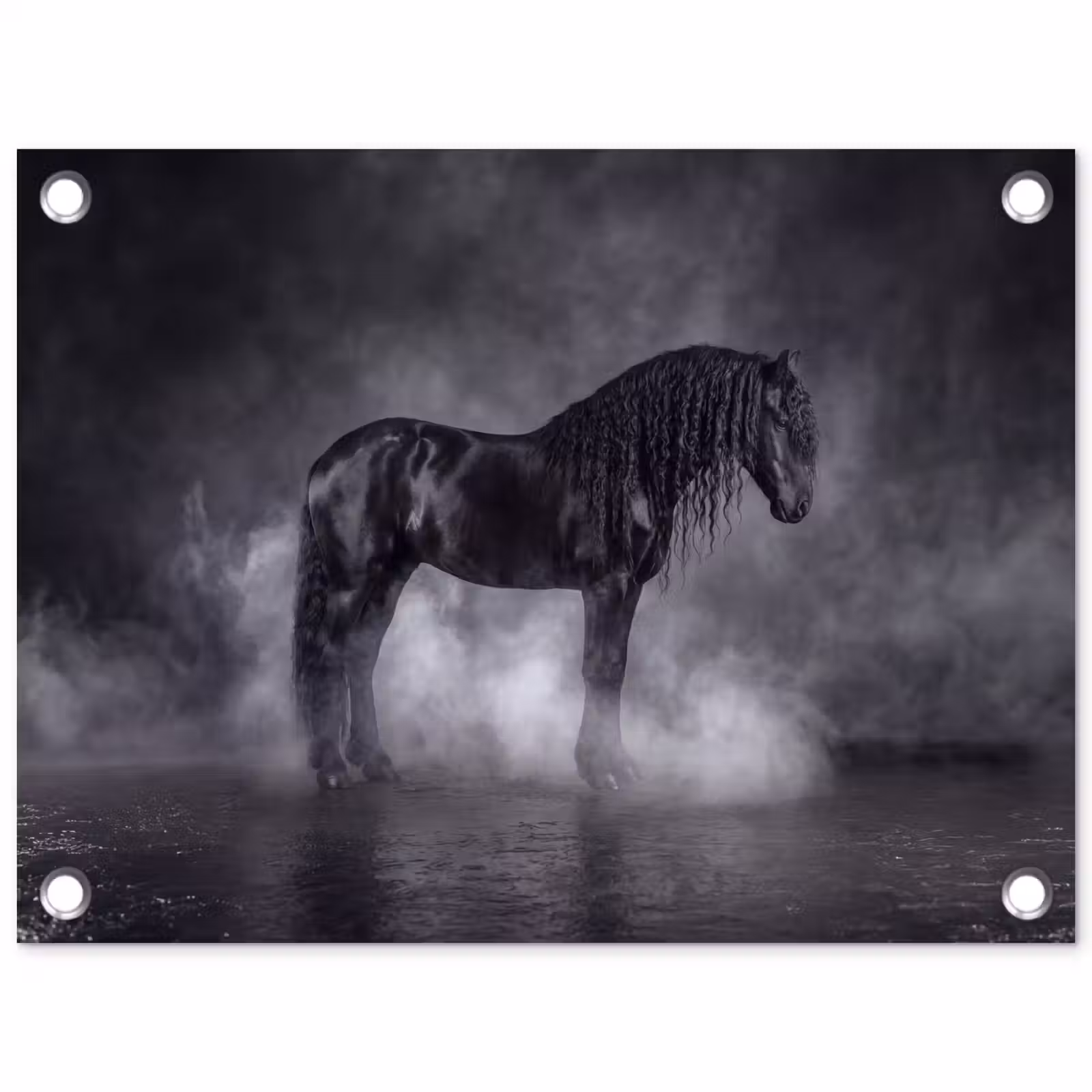Tuinposter - Paard - Magisch - Zwart — 1