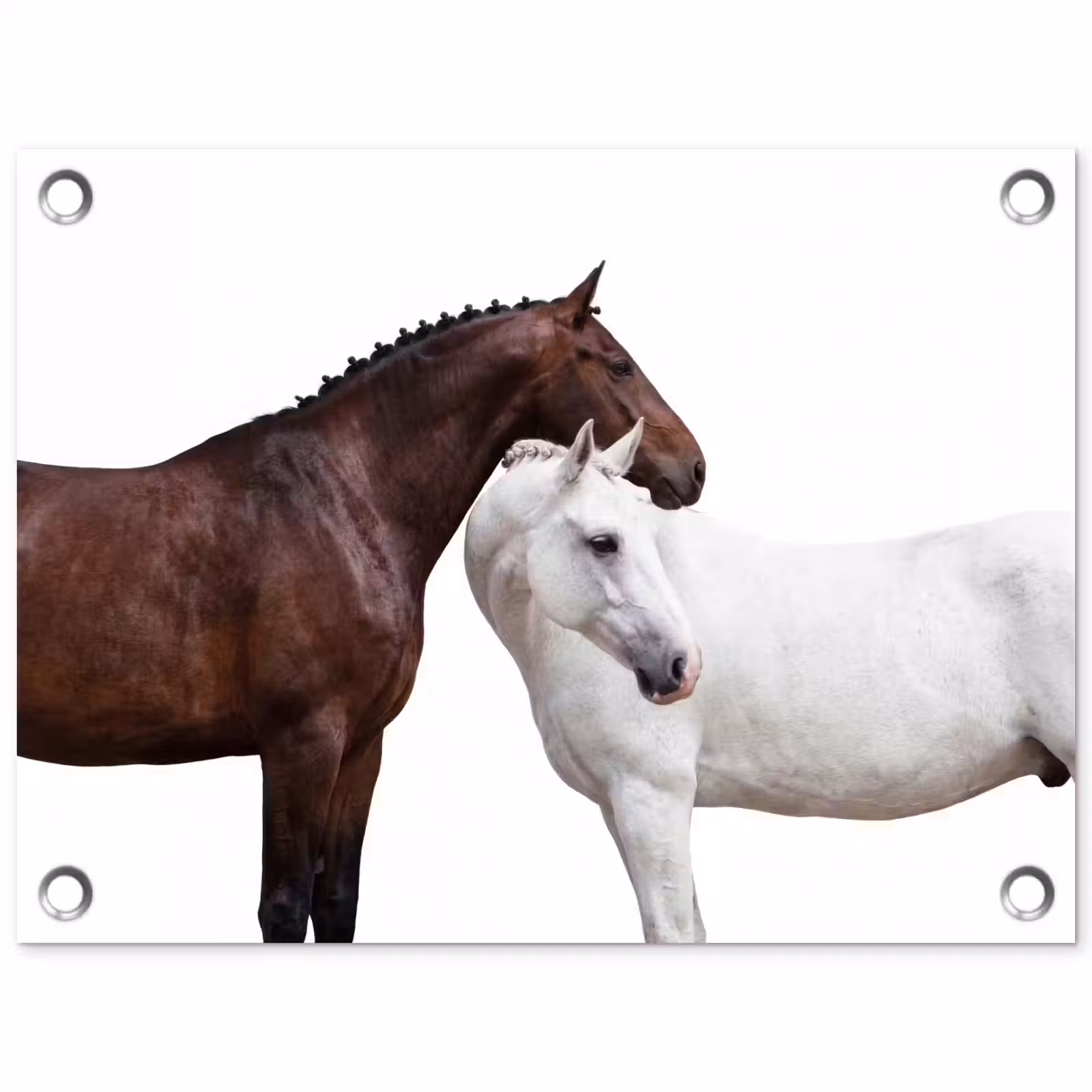 Tuinposter - Paard - Modern - Balans — 1