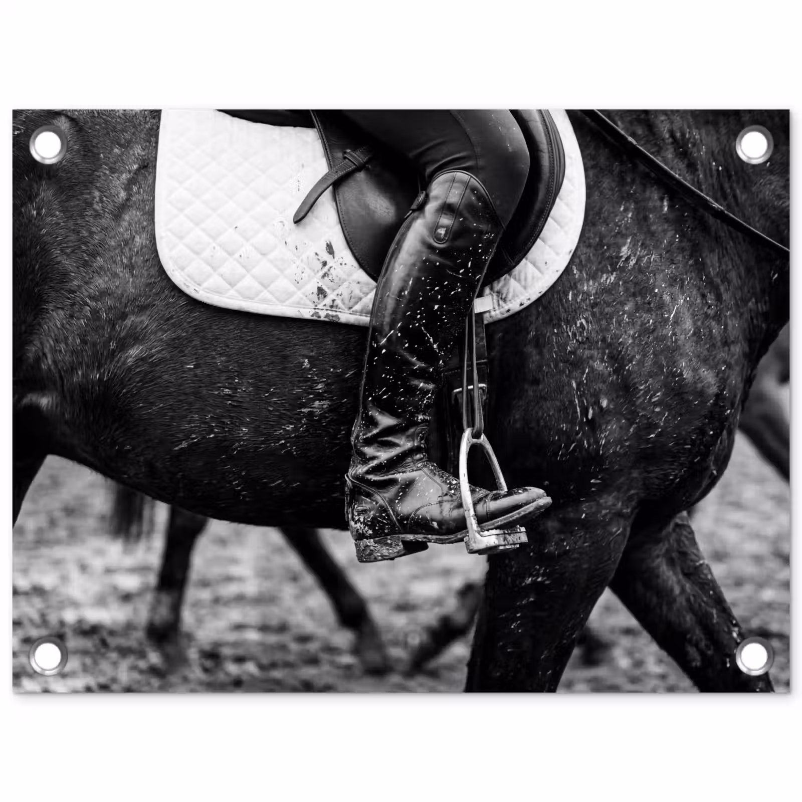 Tuinposter - Paard - Sport - Zwart - Wit — 1