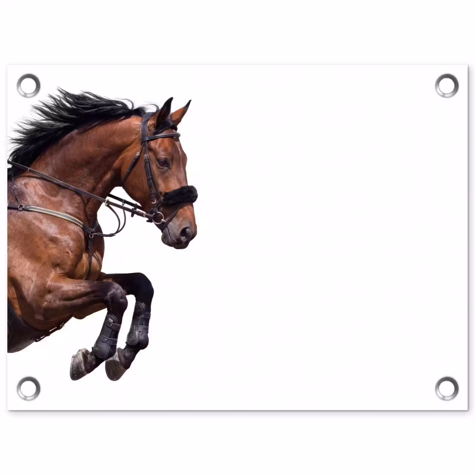 Tuinposter - Paard - Springen - Modern — 1