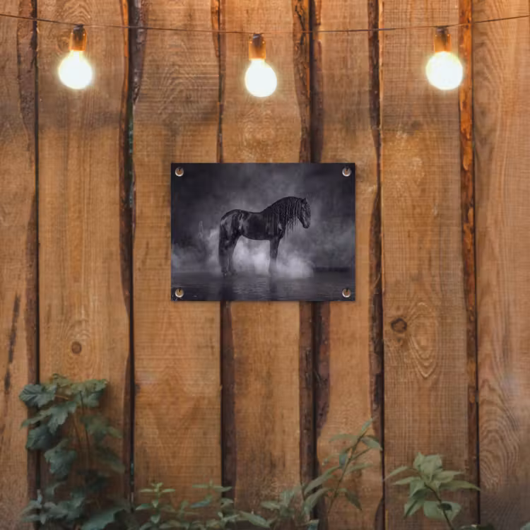Tuinposter - Paard - Magisch - Zwart — 2