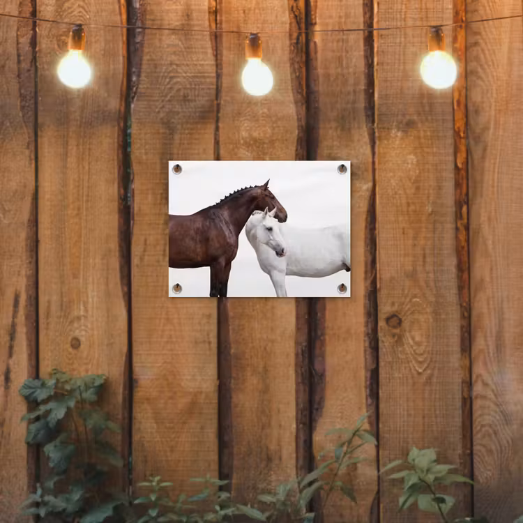 Tuinposter - Paard - Modern - Balans — 2