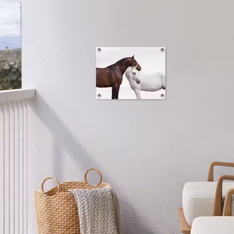 Tuinposter - Paard - Modern - Balans — 3
