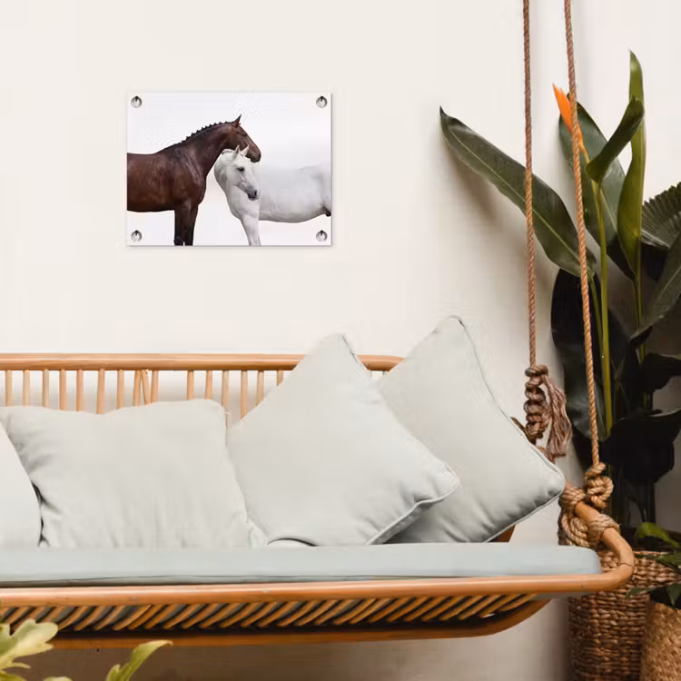 Tuinposter - Paard - Modern - Balans — 5