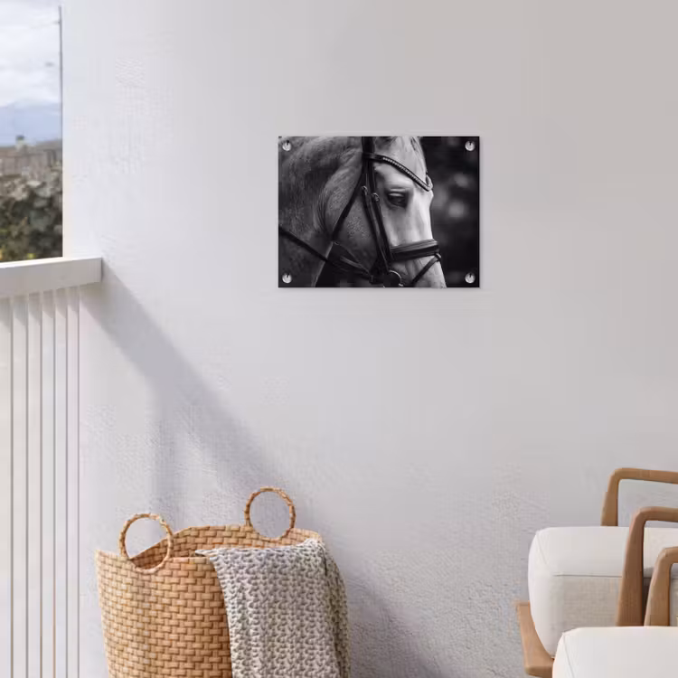 Tuinposter - Paard - Schimmel - Portret — 3