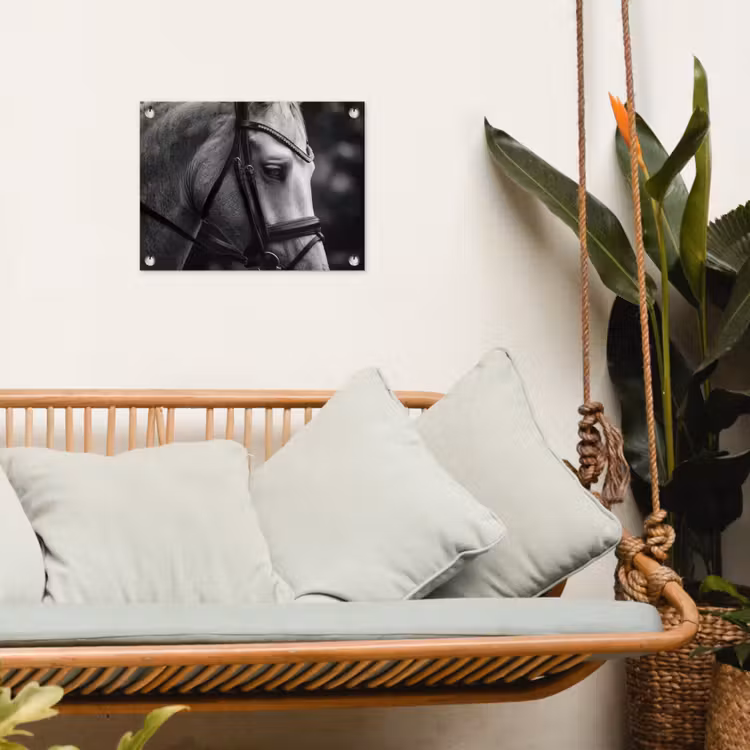 Tuinposter - Paard - Schimmel - Portret — 5