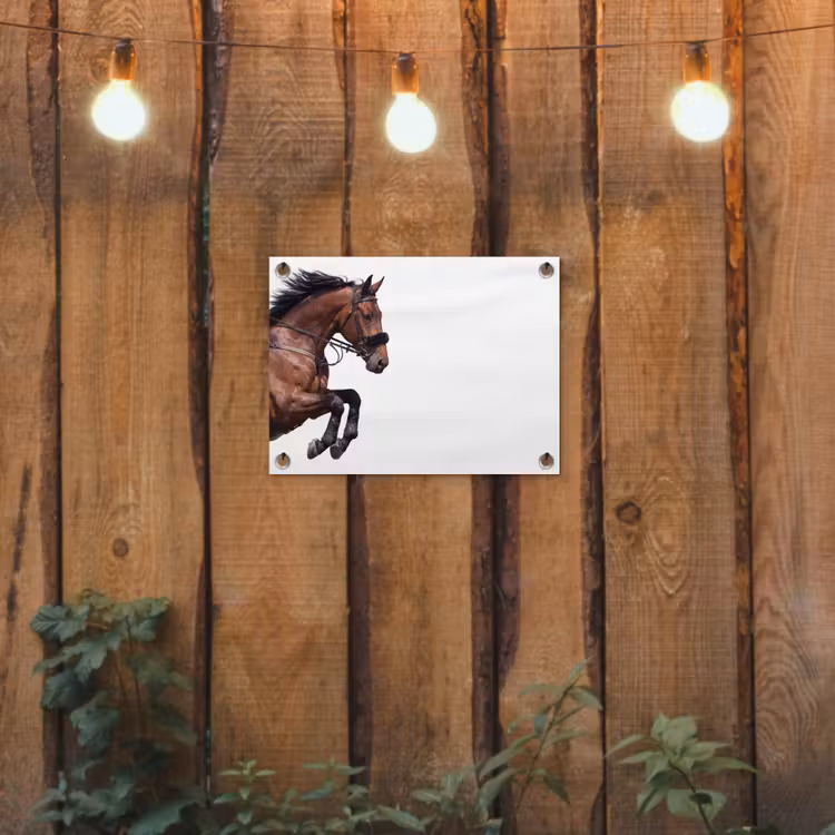 Tuinposter - Paard - Springen - Modern — 2