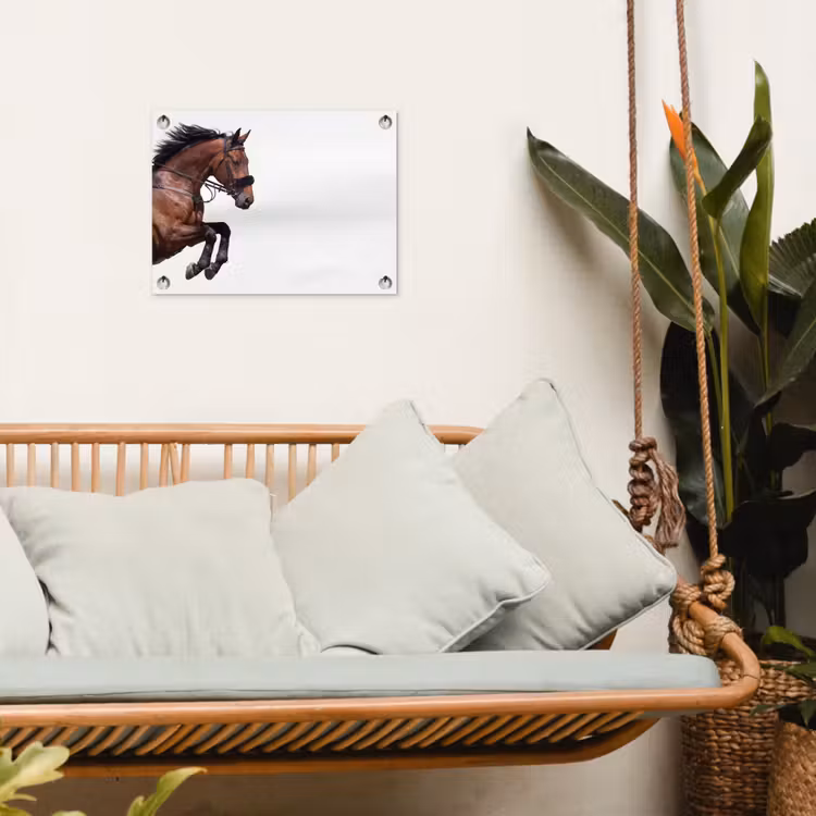 Tuinposter - Paard - Springen - Modern — 5