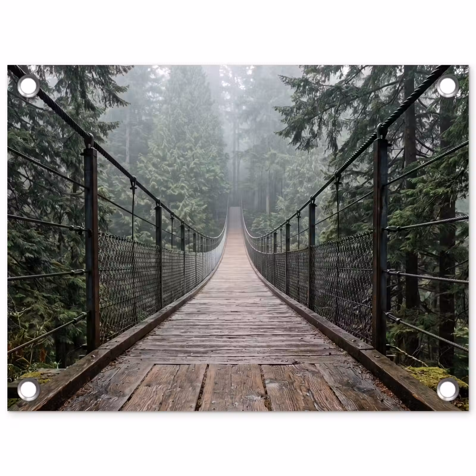 Tuinposter - Brug - Bos - Mist - Natuur — 1