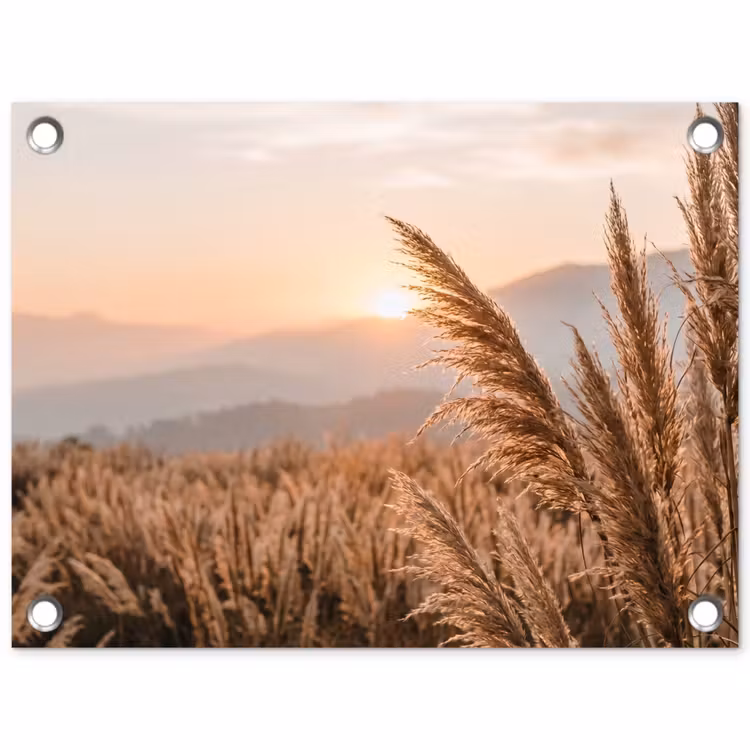 Tuinposter - Gras - Veld - Zon - Natuur — 1