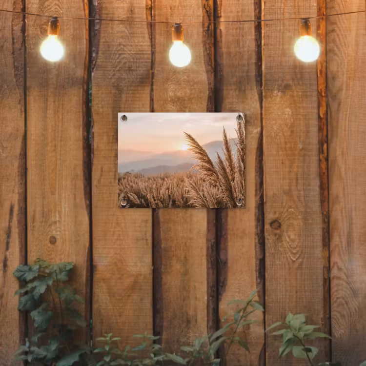 Tuinposter - Gras - Veld - Zon - Natuur — 2