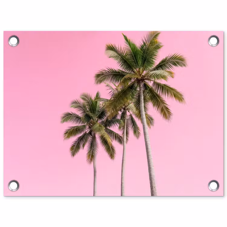 Tuinposter - Palmboom - Tropisch - Pink — 1