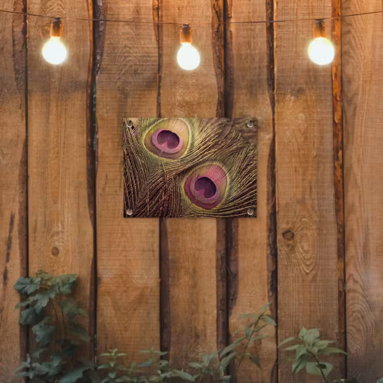 Tuinposter - Pauw - Veren - Paars - Groen — 2