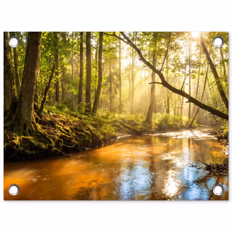 Tuinposter - Bos - Beek - Zonlicht - Natuur - Groen — 1
