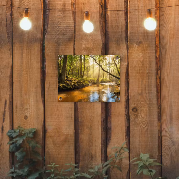Tuinposter - Bos - Beek - Zonlicht - Natuur - Groen — 2