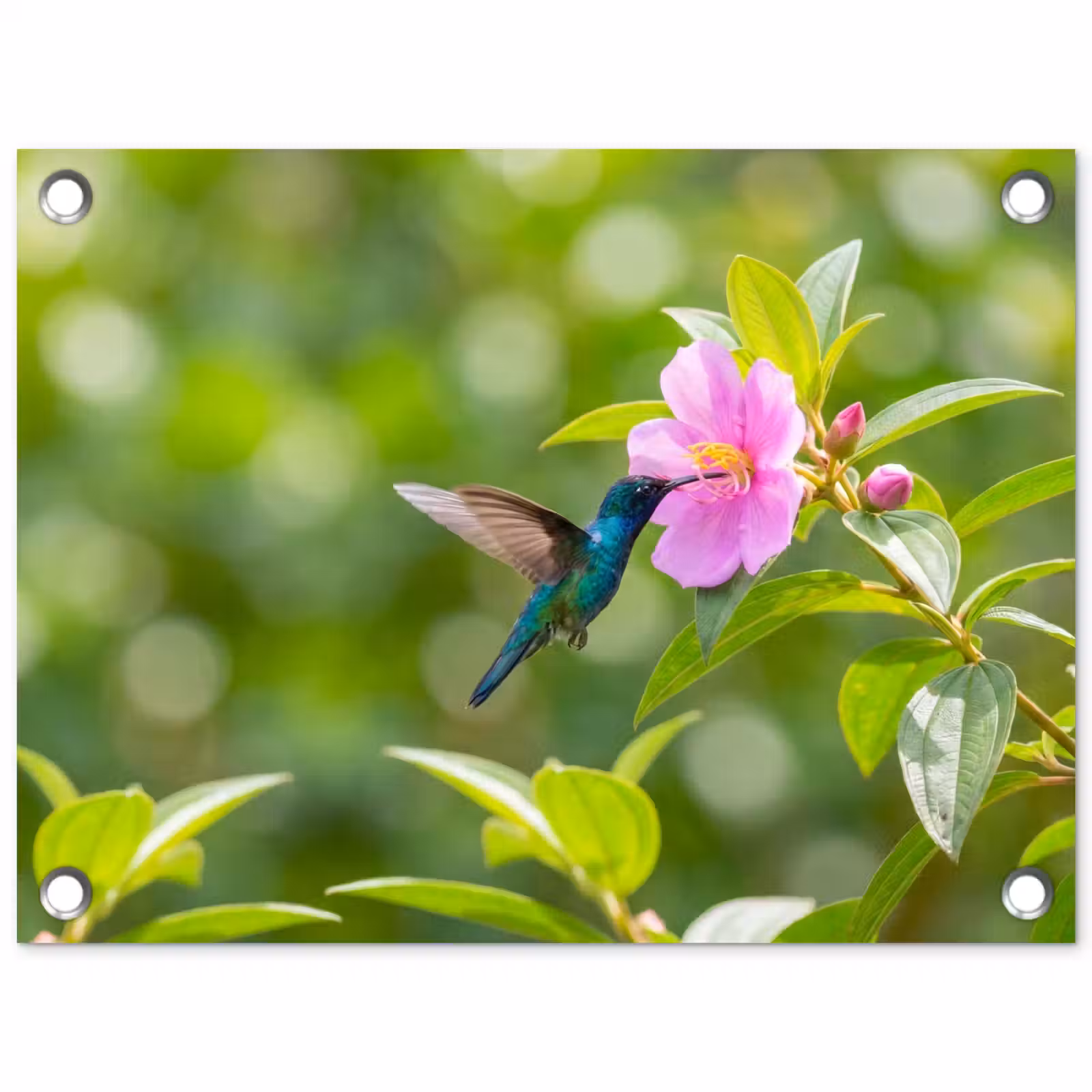 Tuinposter - Kolibrie - Bloem - Natuur - Groen — 1