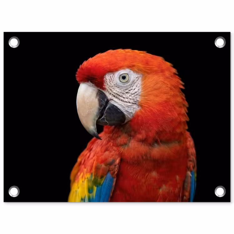 Tuinposter - Ara - Portret - Rood — 1
