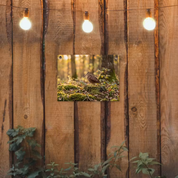 Tuinposter - Houtsnip - Bos - Bladeren - Herfst - Gecamoufleerd — 2