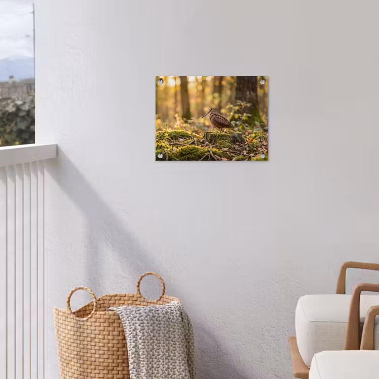 Tuinposter - Houtsnip - Bos - Bladeren - Herfst - Gecamoufleerd — 3