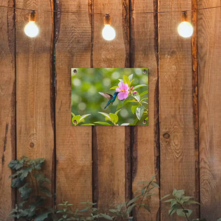 Tuinposter - Kolibrie - Bloem - Natuur - Groen — 2
