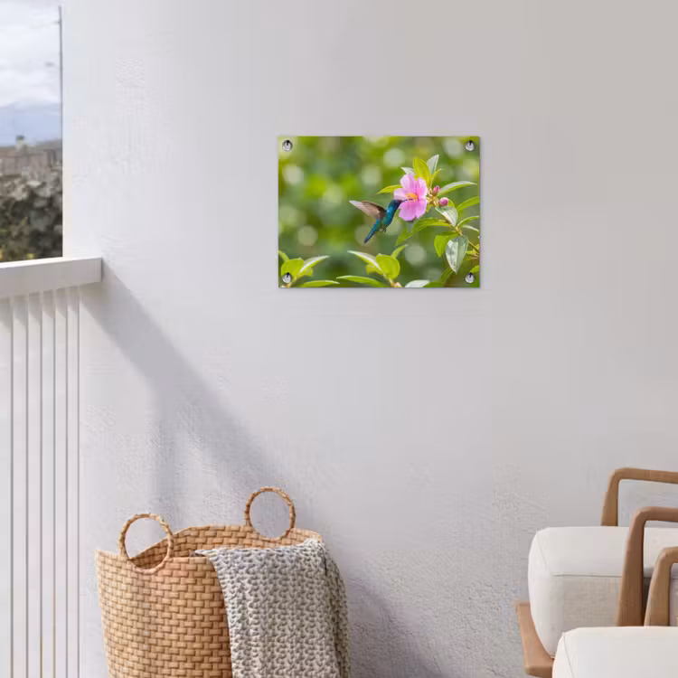 Tuinposter - Kolibrie - Bloem - Natuur - Groen — 3