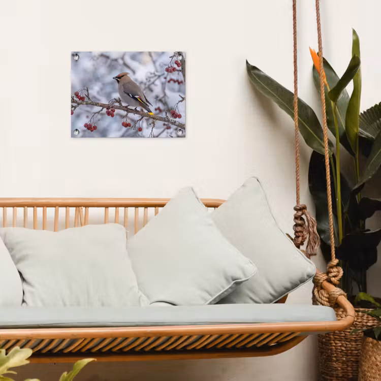Tuinposter - Pestvogel - Bessen - Winter - Natuur — 5