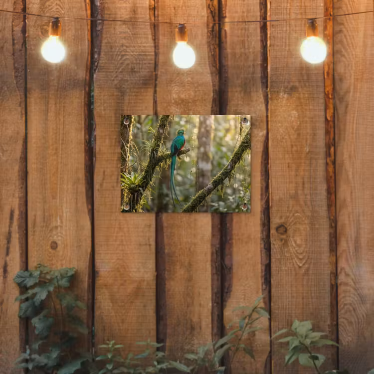Tuinposter - Quetzal - Jungle - Natuur - Groen — 2