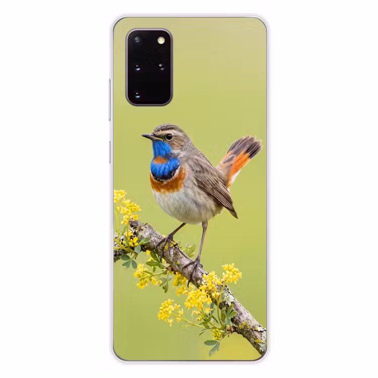 Telefoonhoesje - Vogel - Tak - Natuur - Kleurrijk — 4