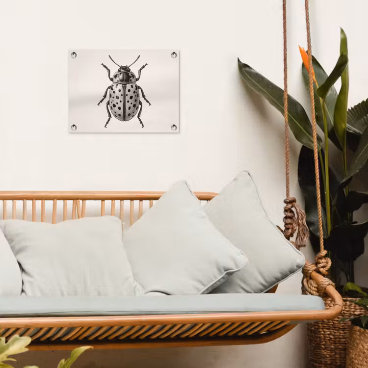 Tuinposter - Kever - Insect - Vintage — 5