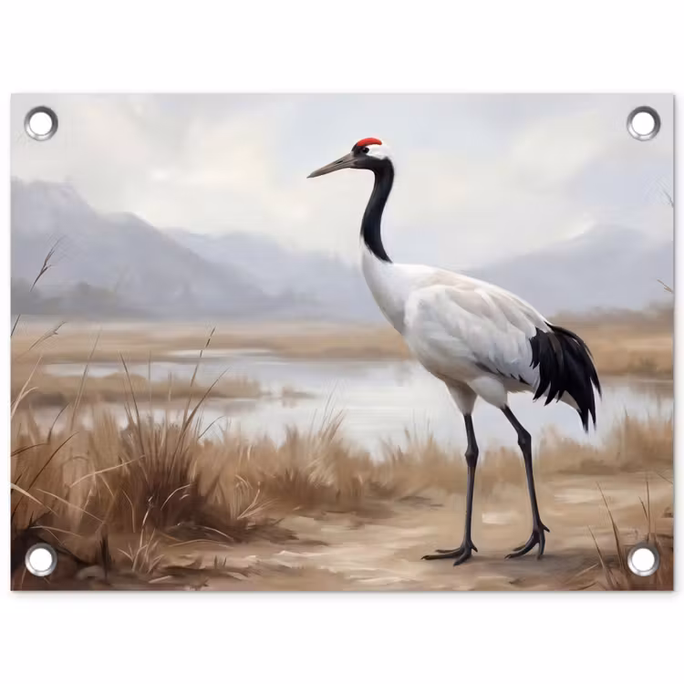 Tuinposter - Kraanvogel - Natuur - Realistisch — 1