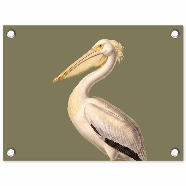 Tuinposter - Pelikaan - Wit - Vogel - Klassiek - Natuur — 1