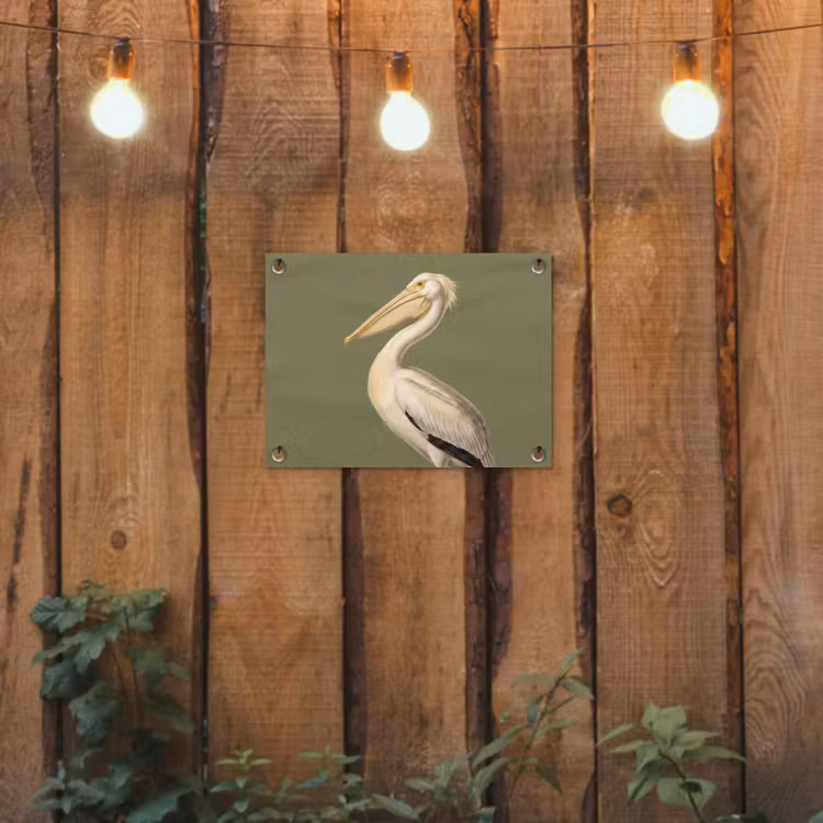 Tuinposter - Pelikaan - Wit - Vogel - Klassiek - Natuur — 2