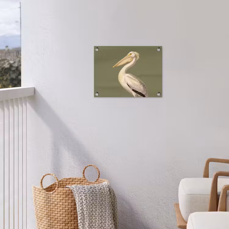 Tuinposter - Pelikaan - Wit - Vogel - Klassiek - Natuur — 3