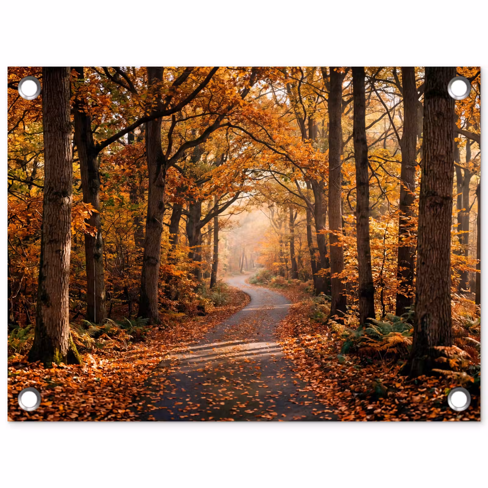 Tuinposter - Bospad - Herfstbos - Bladeren - Oranje - Nostalgisch — 1