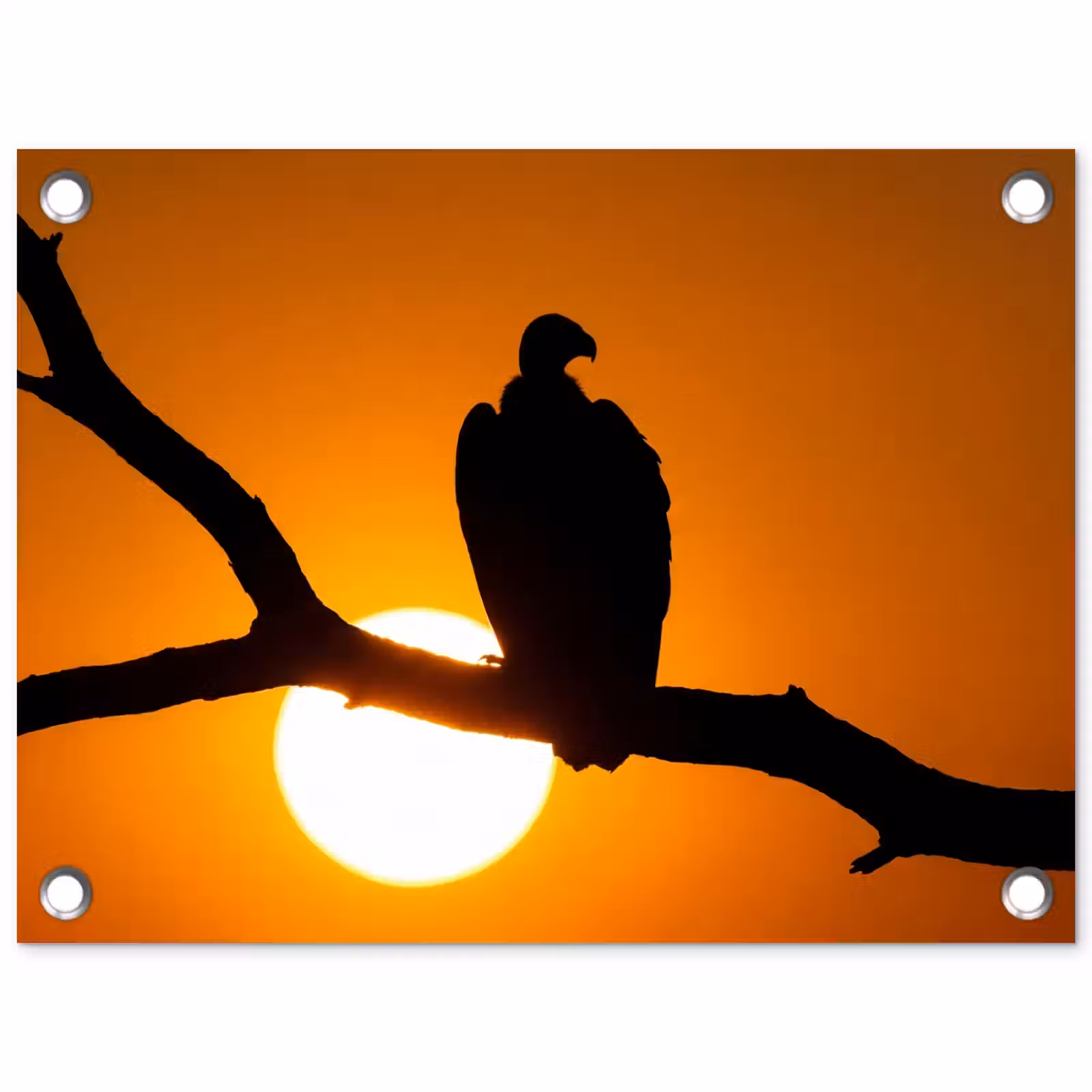 Tuinposter - Gier - Tak - Zon - Oranje — 1