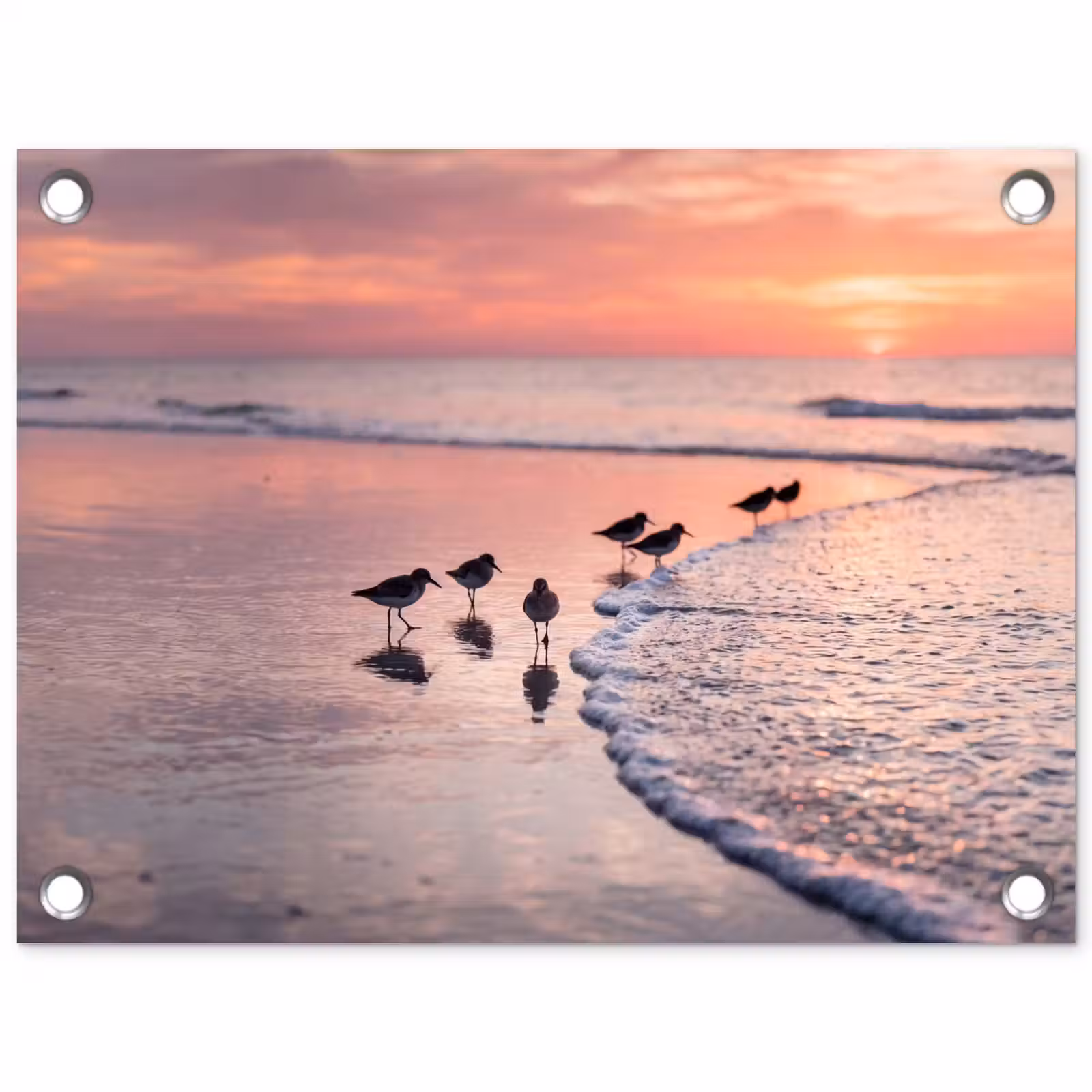 Tuinposter - Meeuwen - Strand - Zee - Roze — 1