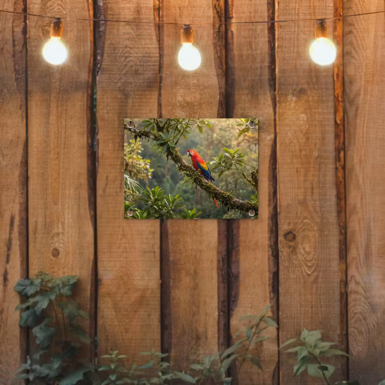 Tuinposter - Ara - Jungle - Rood — 2