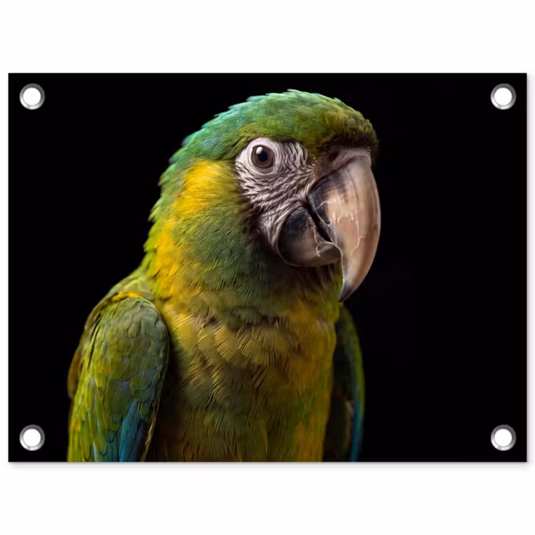 Tuinposter - Ara - Portret - Groen — 1