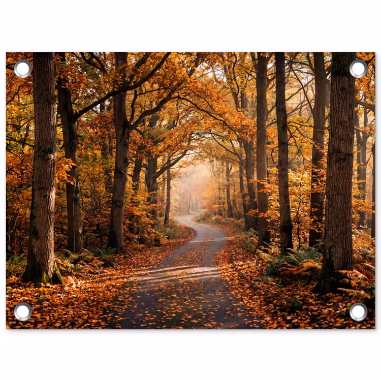 Tuinposter - Bospad - Herfstbos - Bladeren - Oranje - Nostalgisch — 1