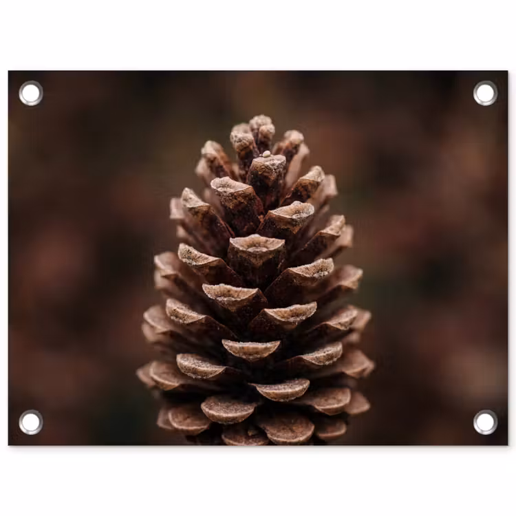 Tuinposter - Dennenappel - Bos - Herfst - Bruin - Sfeervol — 1