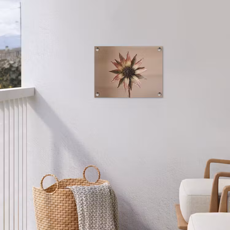 Tuinposter - Droogbloem - Protea - Vintage - Beige - Rustiek — 3