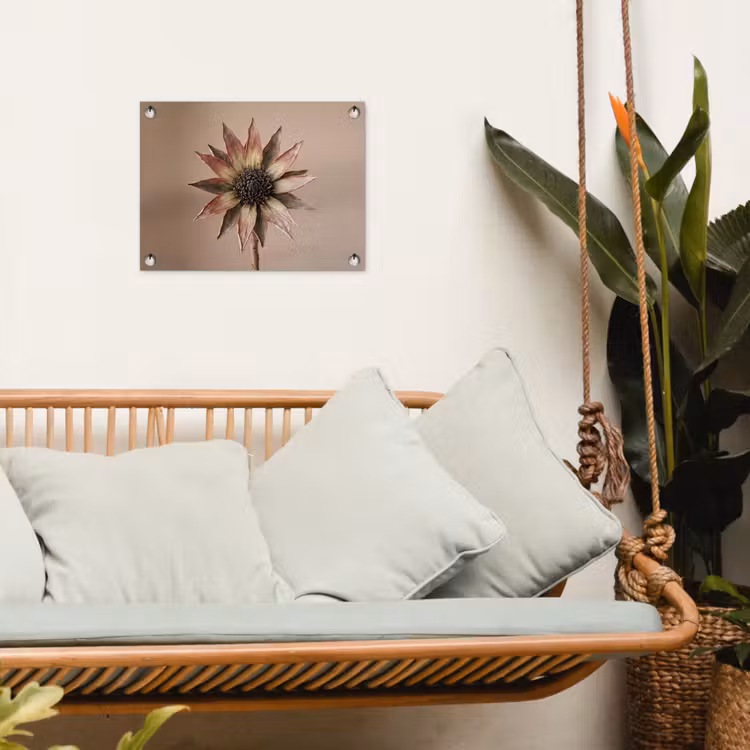Tuinposter - Droogbloem - Protea - Vintage - Beige - Rustiek — 5