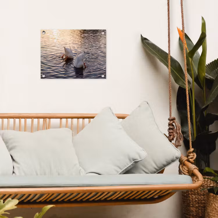 Tuinposter - Eenden - Water - Natuur — 5