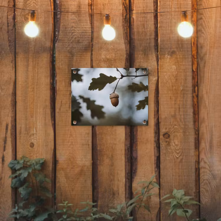 Tuinposter - Eikel - Eikenblad - Bos - Herfst - Natuur — 2