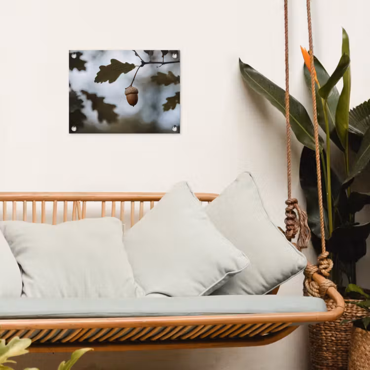 Tuinposter - Eikel - Eikenblad - Bos - Herfst - Natuur — 5